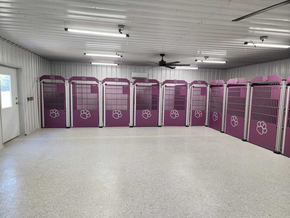 The indoor kennel room at Dogtown Kennels